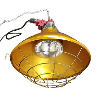 仔猪保温箱灯育雏鸡苗取暖灯泡灯罩调温度加热小鸡猪养殖带线罩