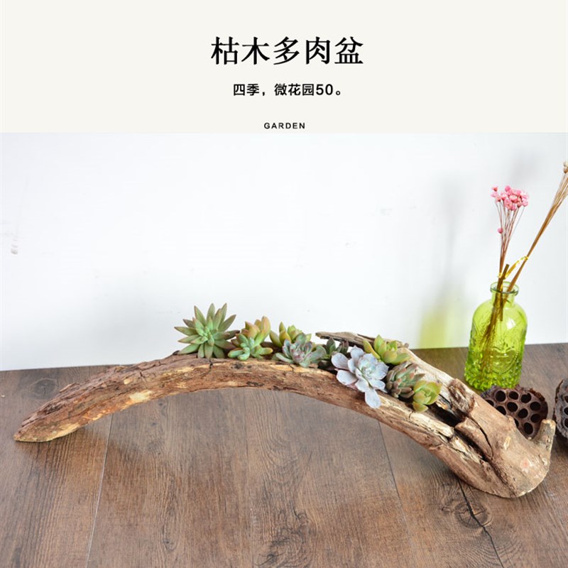 多肉花盆自然原木质树桩根花盆枯木朽木石斛田园大多肉植物花盆