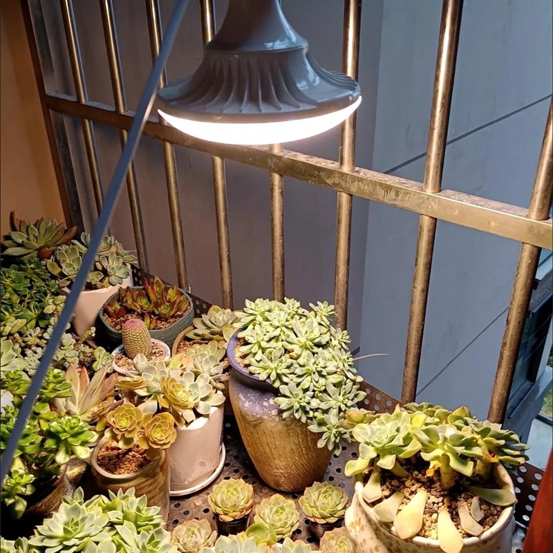 全光谱仿太阳光植物灯多肉绿植花卉果蔬苔藓睡碗莲内阳台防徒月季