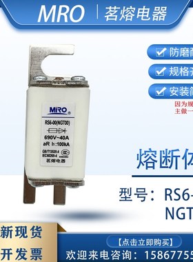 茗熔快速熔断器RS6-00NGT00 40A80A100A125A160A250A315A FB711C