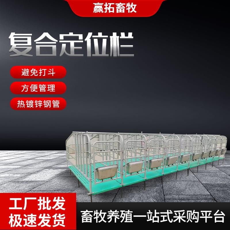 厂家母猪复合定位栏热镀锌钢管母猪产床限位栏养猪场养猪设备