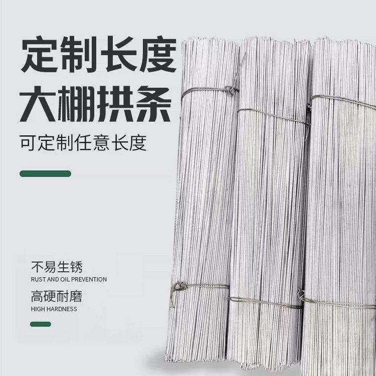 菜园棚杆防锈钢丝蔬菜保温拱棚支架热镀锌钢丝笼子框架钢筋条直条