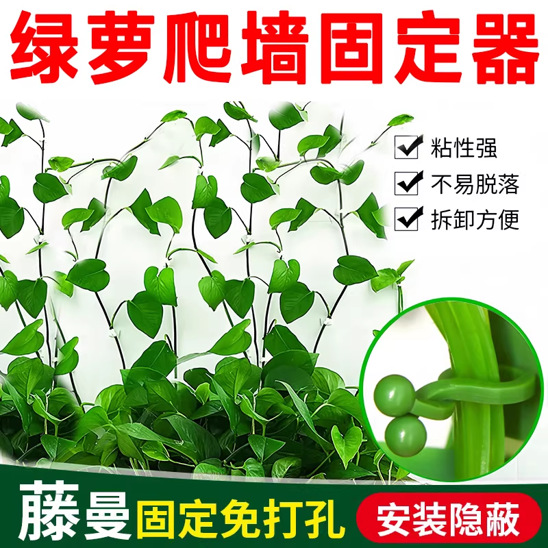 绿萝蔷薇月季桔梗爬墙神器植物藤蔓固定器绿植夹子无痕爬藤杆墙面