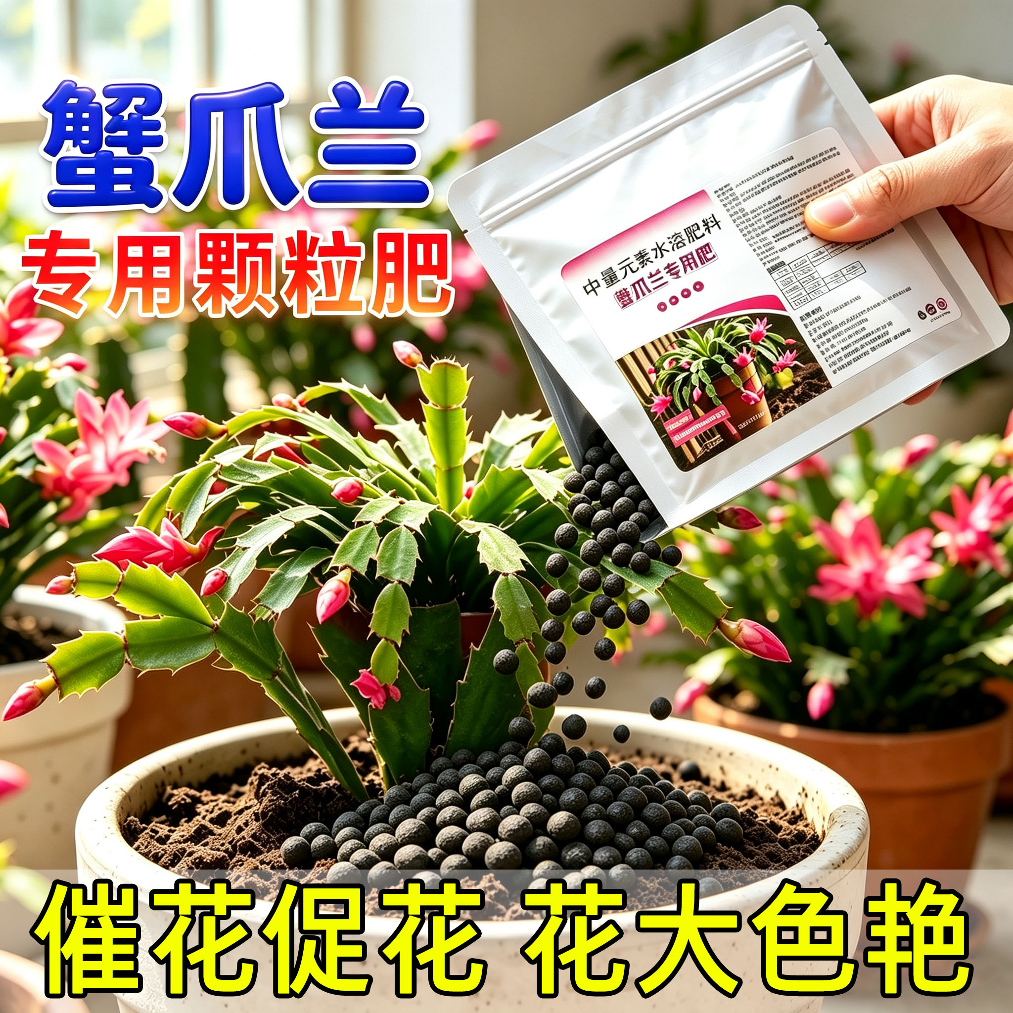 蟹爪兰专用镁肥中量元素水溶肥