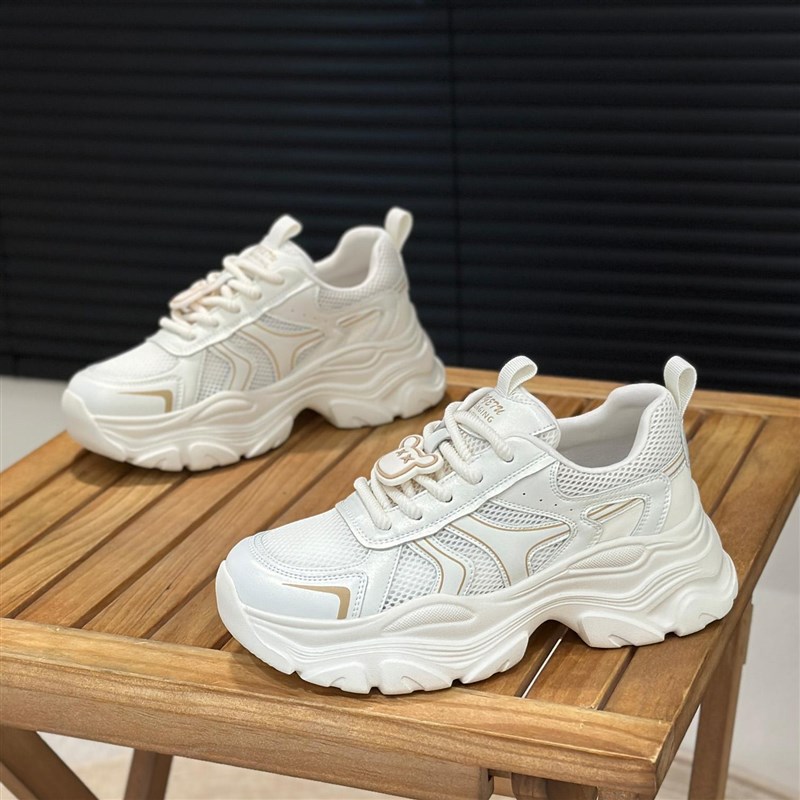 夏款镂空网面增高6cm厚底老爹鞋女2E025爆款轻便透气休闲运动网鞋