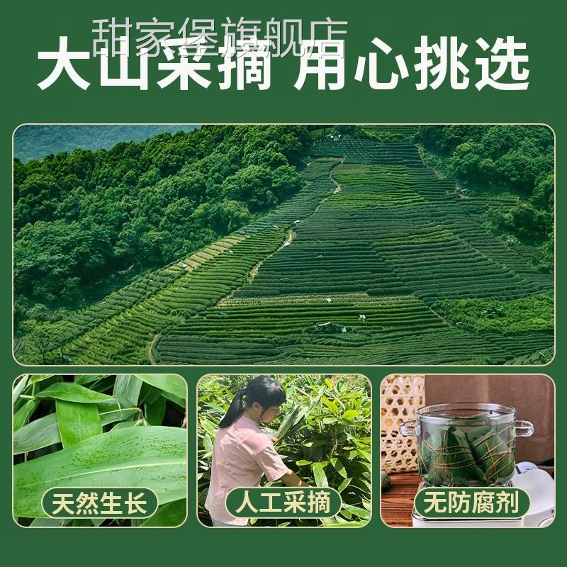 粽叶新鲜粽子叶大号包粽子专用粽叶干现摘竹箬叶端午节官方旗舰店