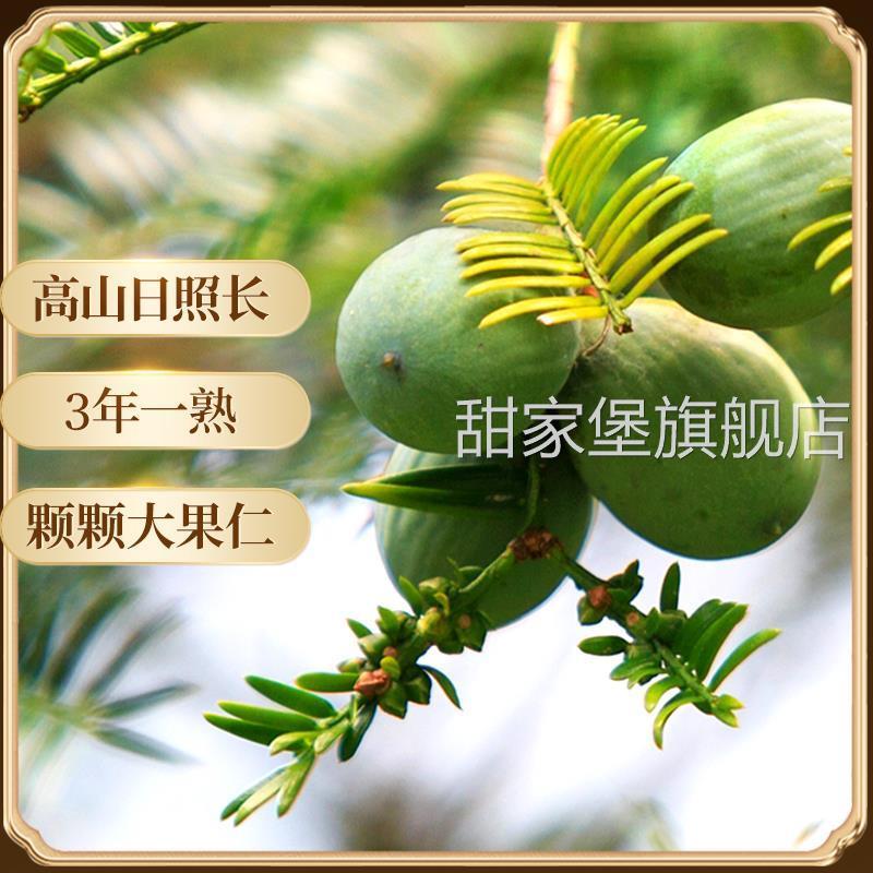香榧子2024新货诸暨特产500g枫桥香匪坚果炒货香妃菲零食干果
