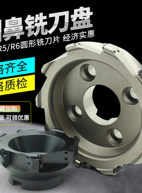 EMRW数控圆鼻铣刀盘平面开粗刀盘5R 6R 50 63 80 100 125 160 200