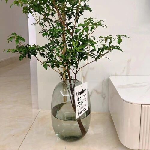 简约现代马醉木花瓶大肚玻璃透明水养客厅插花摆件落地花器吊钟