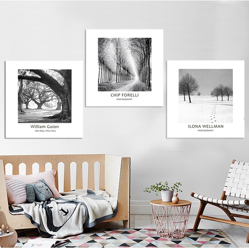 植物树木荒凉黑白k摄影 酒吧咖啡厅店铺墙面装饰画挂画创意无框画图片
