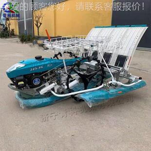 手曲柄RCM摇式水稻种植机 扶步进式杆稻插秧机 稻田插水植栽插机