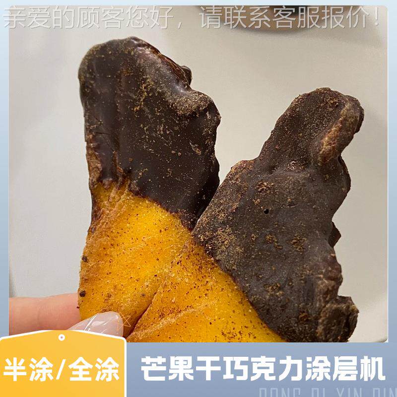 芒果半涂巧克力涂层机 芒干果脆式机皮UCA雪糕巧克力淋浆 两段网