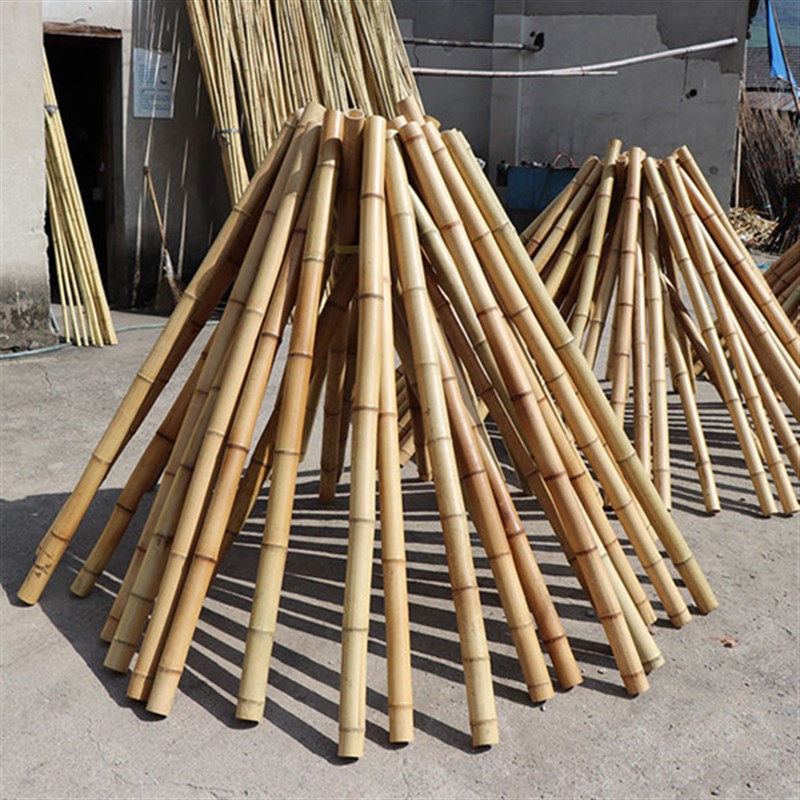 蚊帐杆竹子细竹竿防腐家用固定支架晾衣杆短长篱笆吊顶装修隔断杆