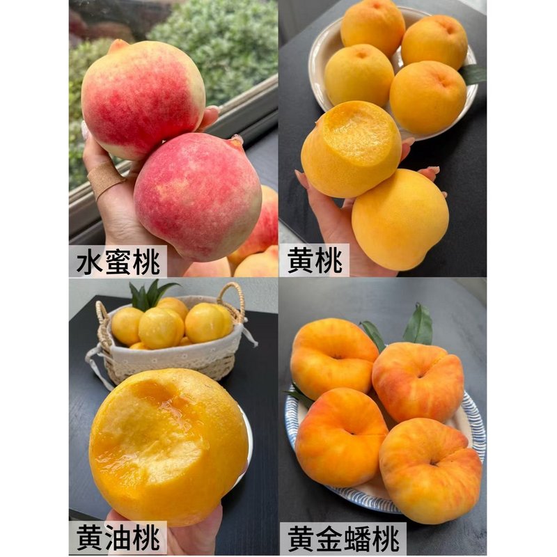 顺丰山东蒙阴蜜桃组合新鲜采摘桃子四拼