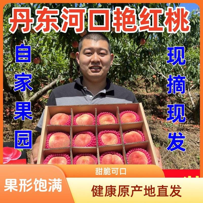 下单秒发丹东河口艳红桃鸭绿江边的桃子脆甜多汁有毛燕红水蜜桃