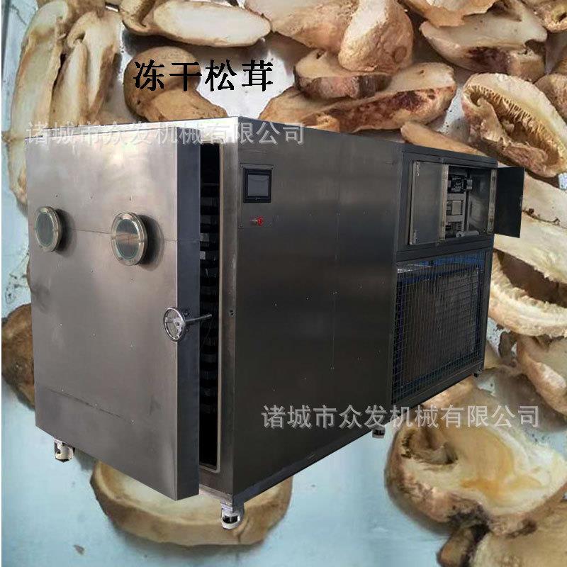 供应食用菌真空冻干机松茸真空冷冻干燥设备食品冻干机哪里好