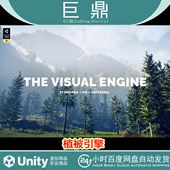 包更新 Unity 植被引擎 Engine v21.3.0 The Visual