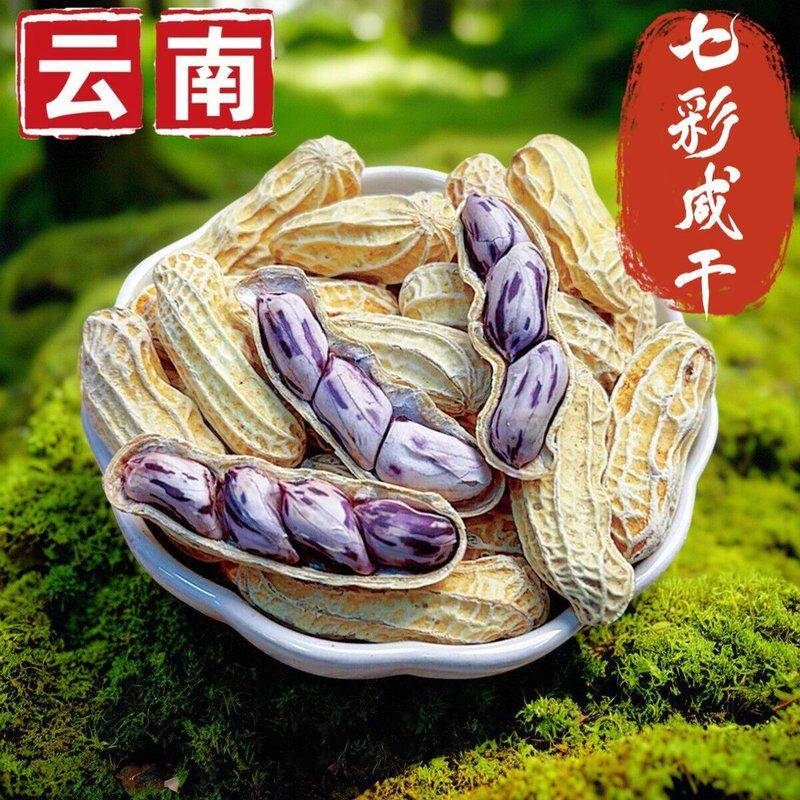 特大颗粒云南七彩花生水煮咸干咸香酥脆带壳熟野地花生露营野餐