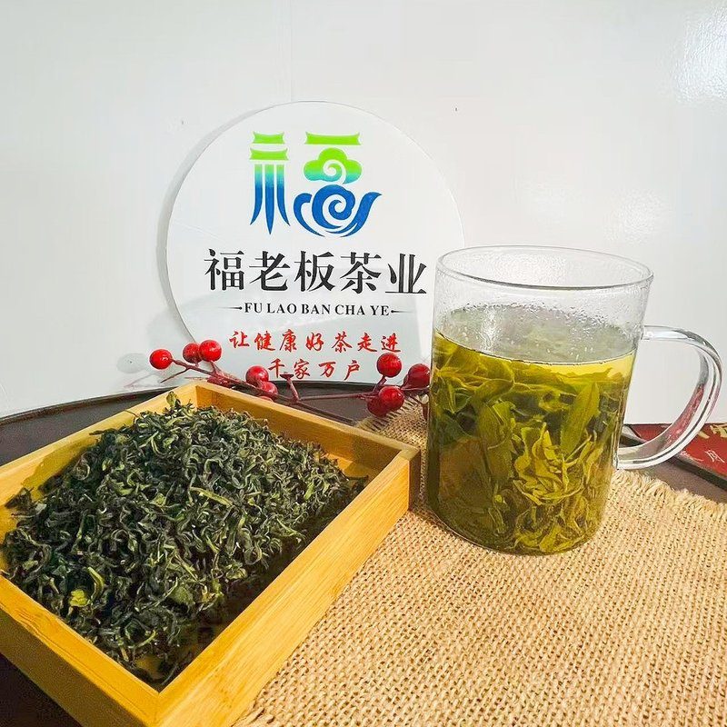 福老板优选 2026年 日照绿茶麦黄茶