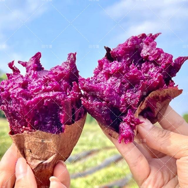田与薯黑美人紫薯泰紫薯一号糖心紫薯软糯香甜不干噎粗粮紫薯