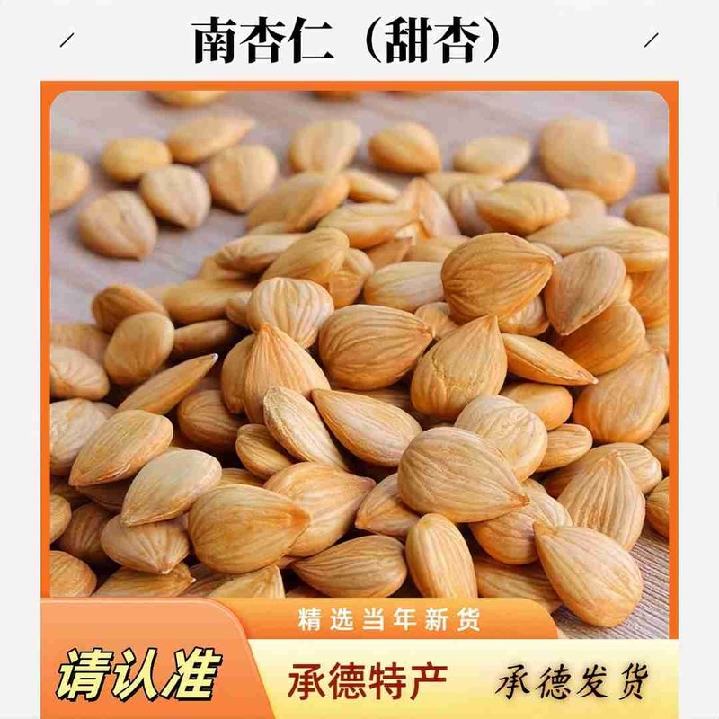 承德特产新鲜大扁甜杏仁饱满甜润原味坚果零食开袋即食散装农产品