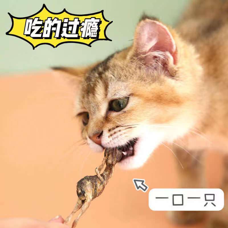鹌鹑冻干猫零食猫咪零食增肥发腮生骨肉磨牙补钙宠物狗狗成幼猫粮
