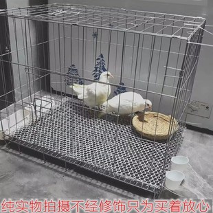 鴿子籠折疊養殖籠鴿子配對籠籠子新型大號繁殖鴿籠鴿子籠家用