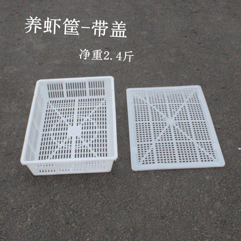 长方形虾筐带盖镂空塑料筐熟胶养殖框大号虾箩蟹筐运输筐扣盖
