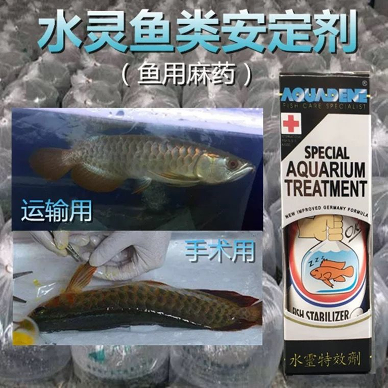 龙鱼手术麻醉修尾水灵特效剂观赏鱼安定剂水族类鱼药龙鱼镇定运输