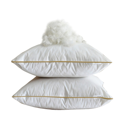 出口白鹅绒抱枕芯 羽绒靠垫芯办公室靠枕床头定做 45 50 60cm包邮