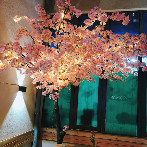 新年树装饰灯LED彩灯星星灯室内家用房间铜线插电灯串闪户外阳台