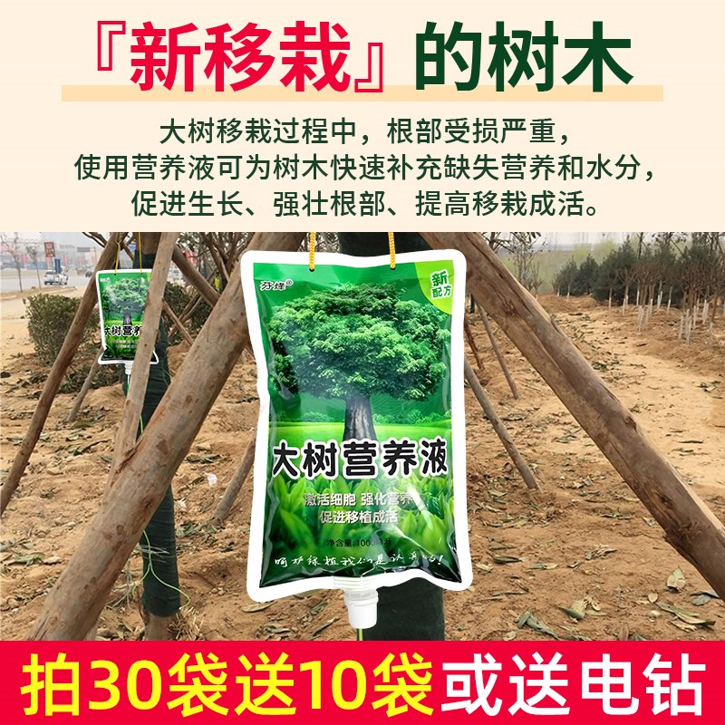 大树营养液吊针液成活死树复活生根液树木果树移栽栽树生根输液袋