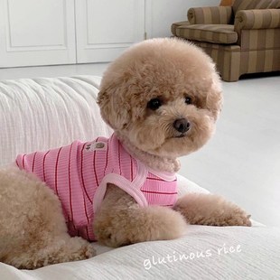 条纹宠物小狗背心泰迪比熊博美约克夏小型犬可爱猫咪狗狗衣服 韩版