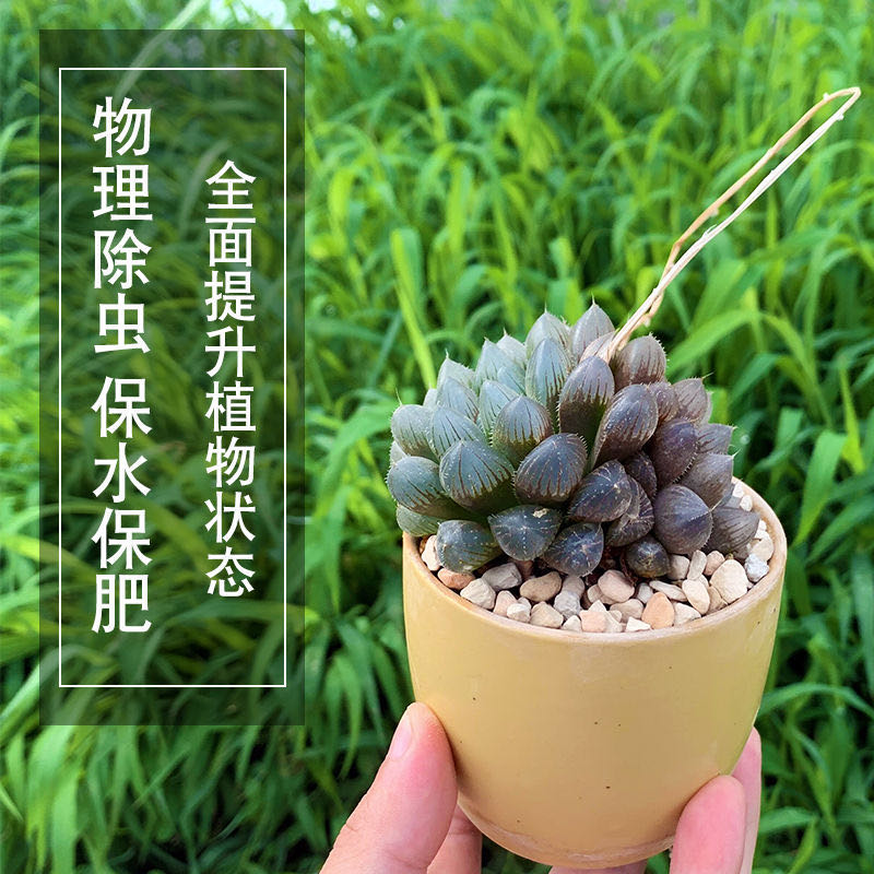 兰花种植介质天然硅藻土硬质颗粒多肉盆景水族营养通用花土铺面石