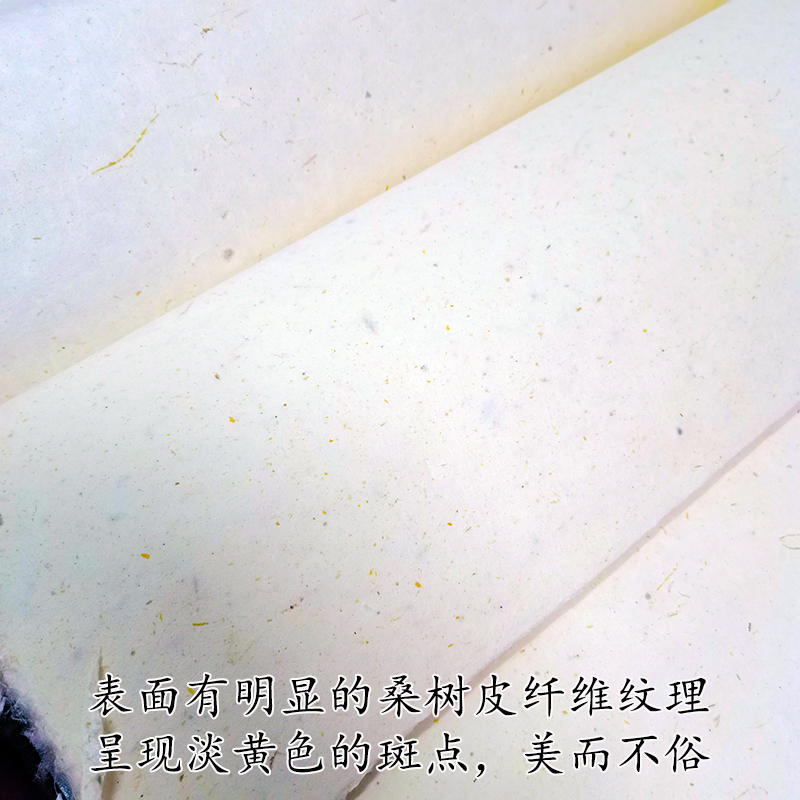 特种皮纸古法桑皮纸纯手工桑树土纸半生熟四六尺书法国画专用宣纸