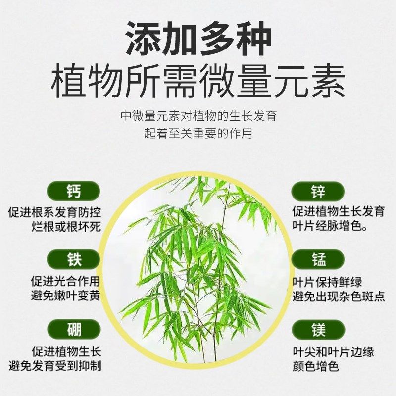 内门竹专用肥营养液肥料盆栽室内盆景竹子竹类复合浓缩观叶植物肥,鲜花速递/花卉仿真/绿植园艺,介质/营养土,淘宝优惠券,粉丝福利购,淘宝优惠卷