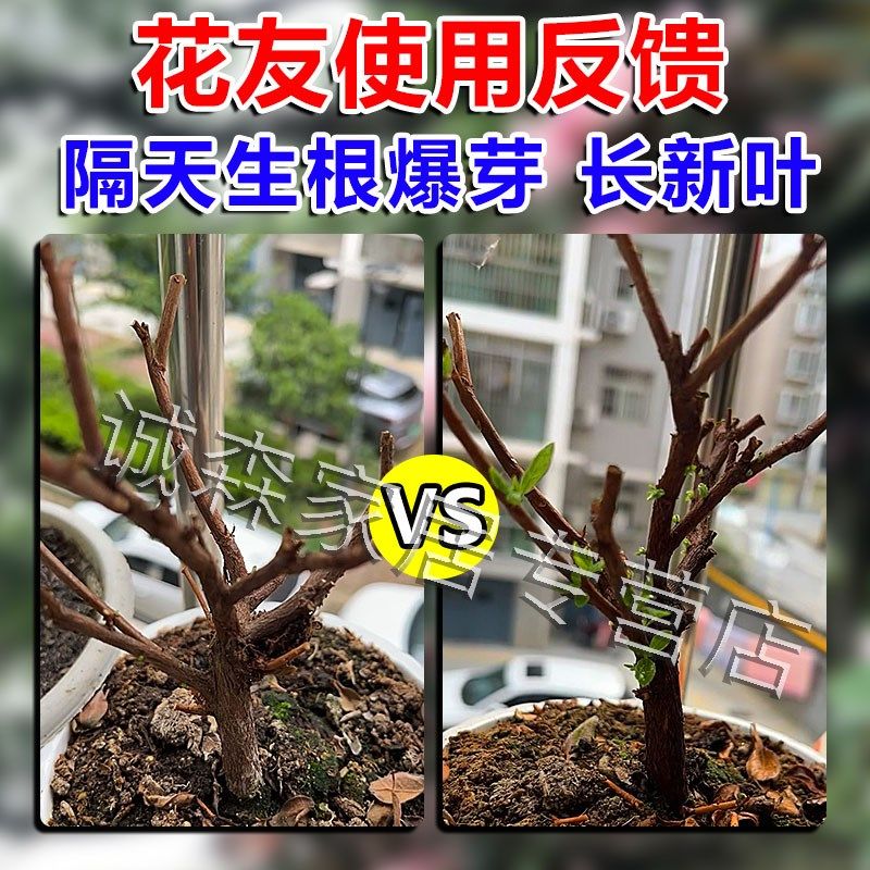 杜鹃花复活液花卉叶斑病专用营养肥强力生根爆催花剂植物通用药水,鲜花速递/花卉仿真/绿植园艺,家庭园艺肥料,淘宝优惠券,粉丝福利购,淘宝优惠卷