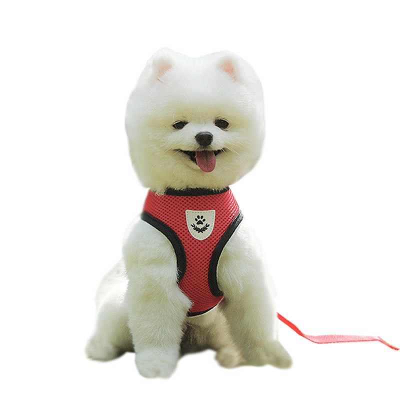 溜狗狗牵引绳背心式夏季款可爱博美法斗遛狗绳猫咪背带胸带牵应绳