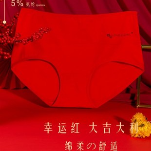 俏姑娘本命年大红色内裤 女士纯棉蛇年结婚内衣高腰全棉鸿运短裤