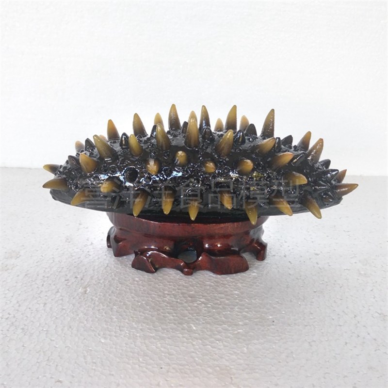 招财海参模型滋补品店铺柜台展示品装饰品送礼礼品软装饰品