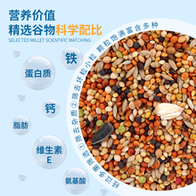 鹦鹉饲料鸟粮营养混合粮虎皮牡丹玄凤鹦鹉粮食补钙黍子带壳黄谷子