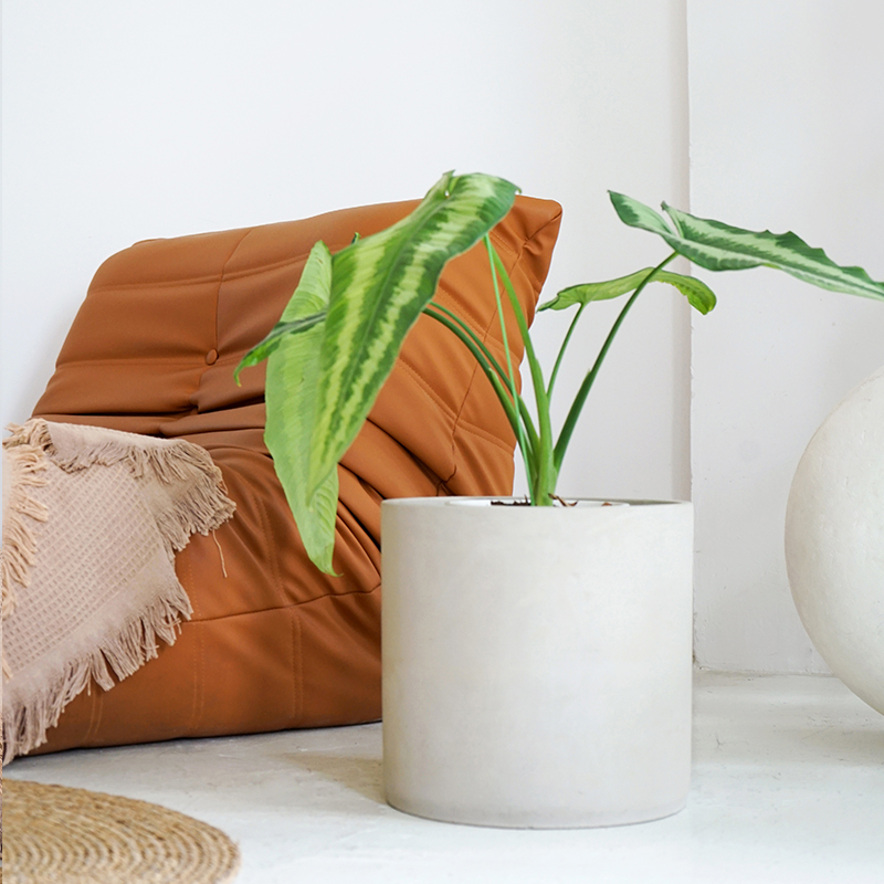 日式极简水泥花盆落地琴叶榕客厅特大35CM口径禅意圆柱客厅大号