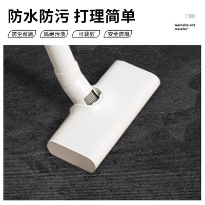 入户门地垫进门口入门2024新款耐脏免洗可擦玄关门外蹭脚垫高级感