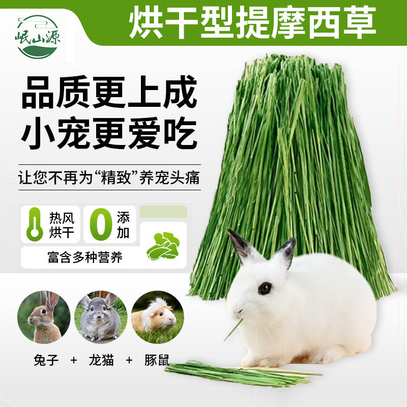 烘干提摩西草7A级兔子龙猫荷兰猪牧草饲料北提草段兔头茬切段新草
