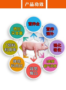 促长号 大猪攻肥添加剂 益生菌促生长 猪用浓缩料预混料猛吃猛长