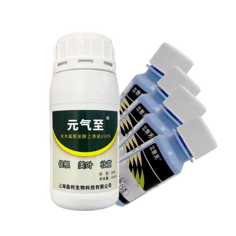 元气至含腐殖酸水溶肥根腐菌剂+黄杨叶枯萎麦冬烂根防治技术