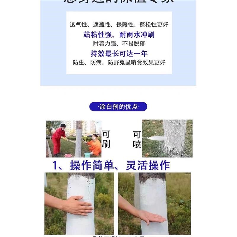 树木树干涂白剂果树防冻抗寒树医宝驱虫道路园林刷白喷涂