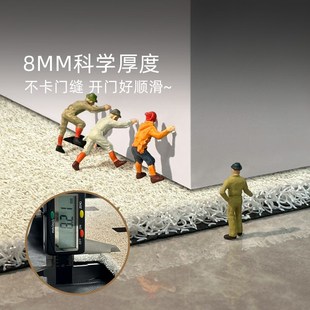 入户门地垫现代简约丝圈地垫pvc玄关进门地垫家用大门高级感脚垫