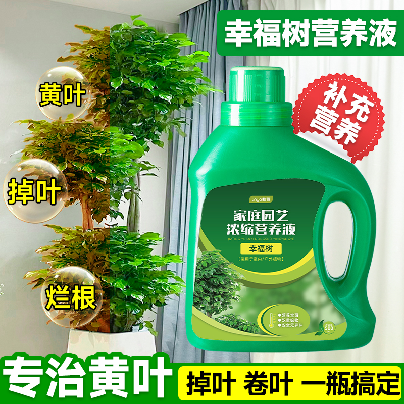 幸福树专用营养液肥料养花花肥绿植家用室内盆栽植物氮磷钾复合肥