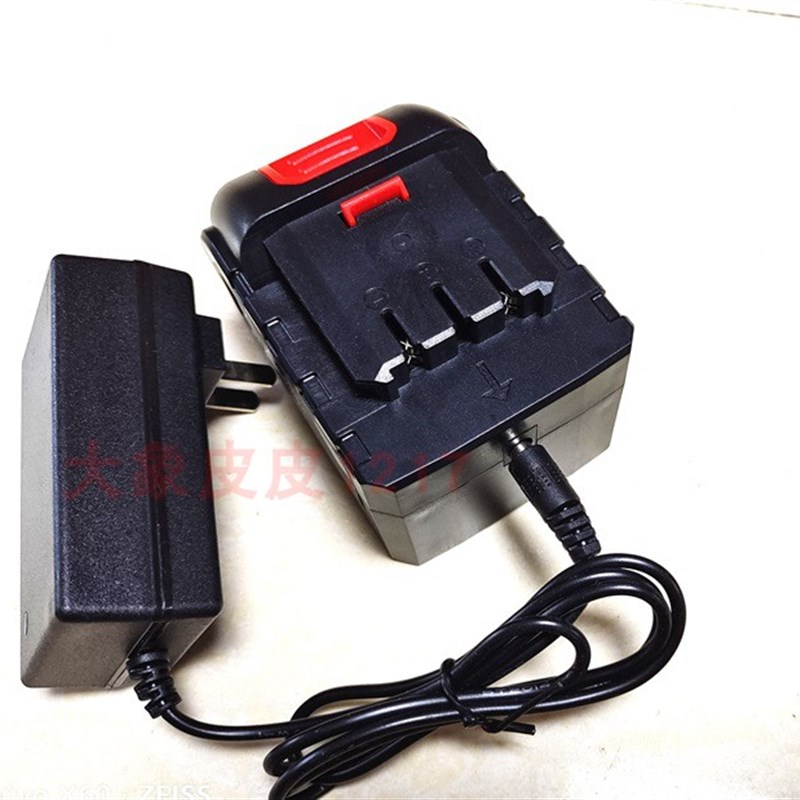 指南枪 极光车 24V无线水枪洗车机高压水泵清洗机 锂电池充电器